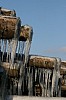 (c) g. schorge - bild 4.jpg